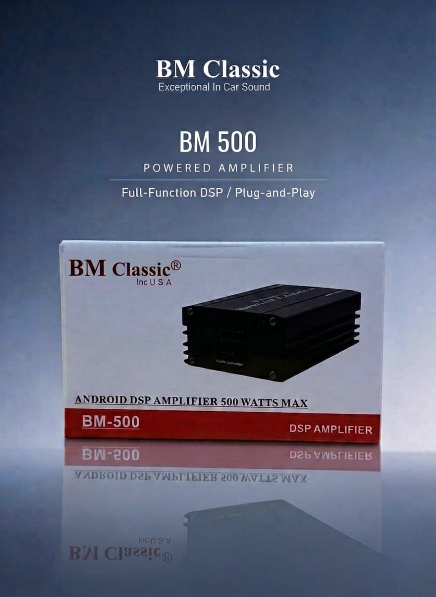 BM Classic BM-500 Mono Amplifier